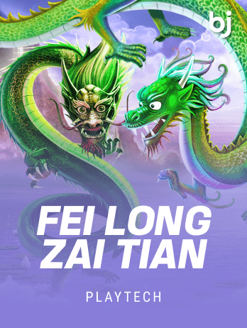 Fei Long Zai Tian screenshot